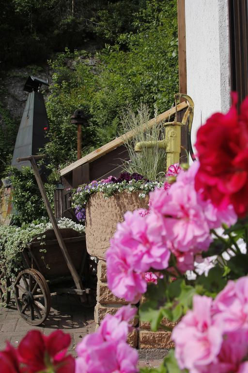 Hotel Berg Dannenfels エクステリア 写真